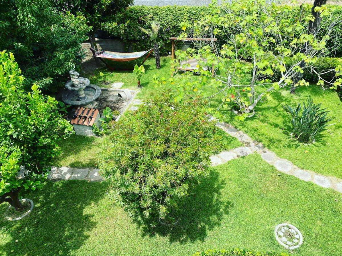 سانت أوْفيمِيا لاميتْسْيا B&B Villa Dei Fiori المظهر الخارجي الصورة