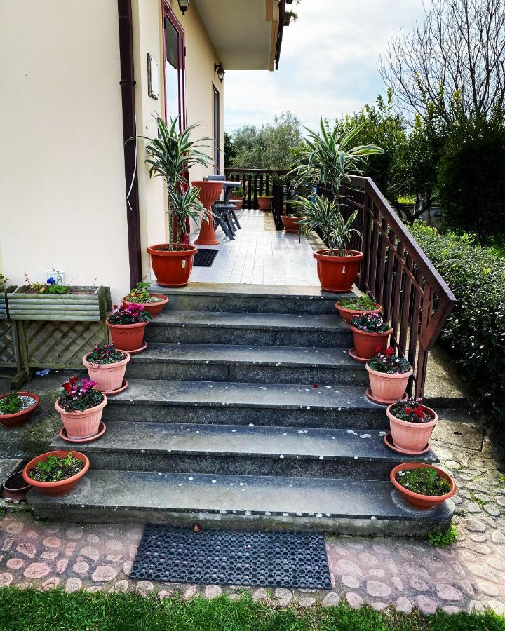 سانت أوْفيمِيا لاميتْسْيا B&B Villa Dei Fiori المظهر الخارجي الصورة