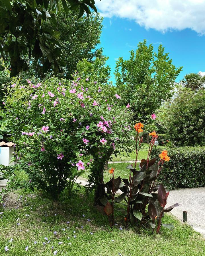 سانت أوْفيمِيا لاميتْسْيا B&B Villa Dei Fiori المظهر الخارجي الصورة
