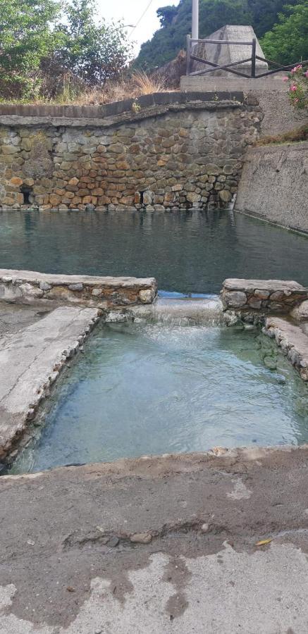 سانت أوْفيمِيا لاميتْسْيا B&B Villa Dei Fiori المظهر الخارجي الصورة