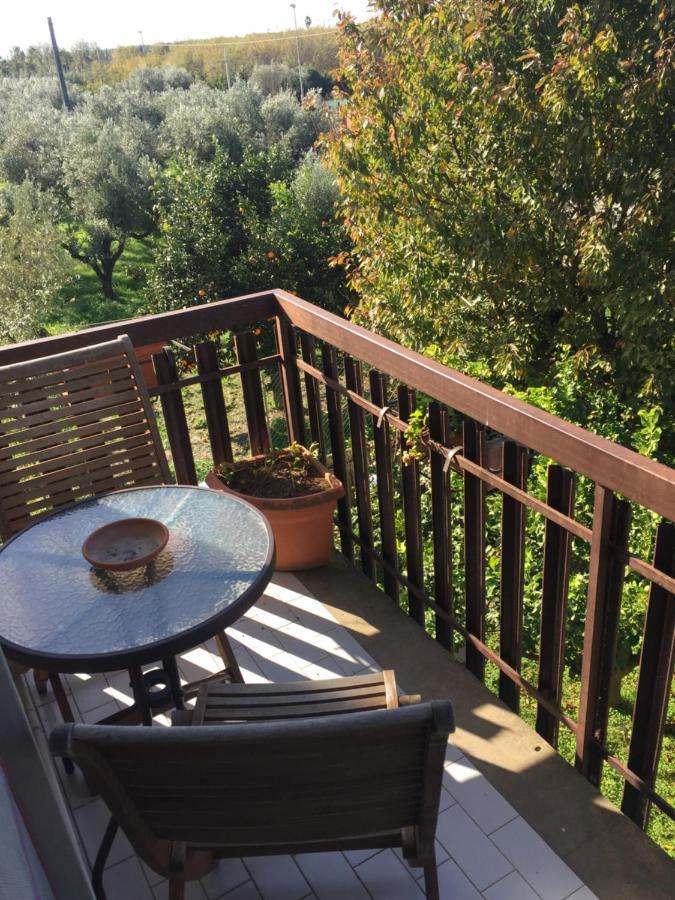 سانت أوْفيمِيا لاميتْسْيا B&B Villa Dei Fiori المظهر الخارجي الصورة